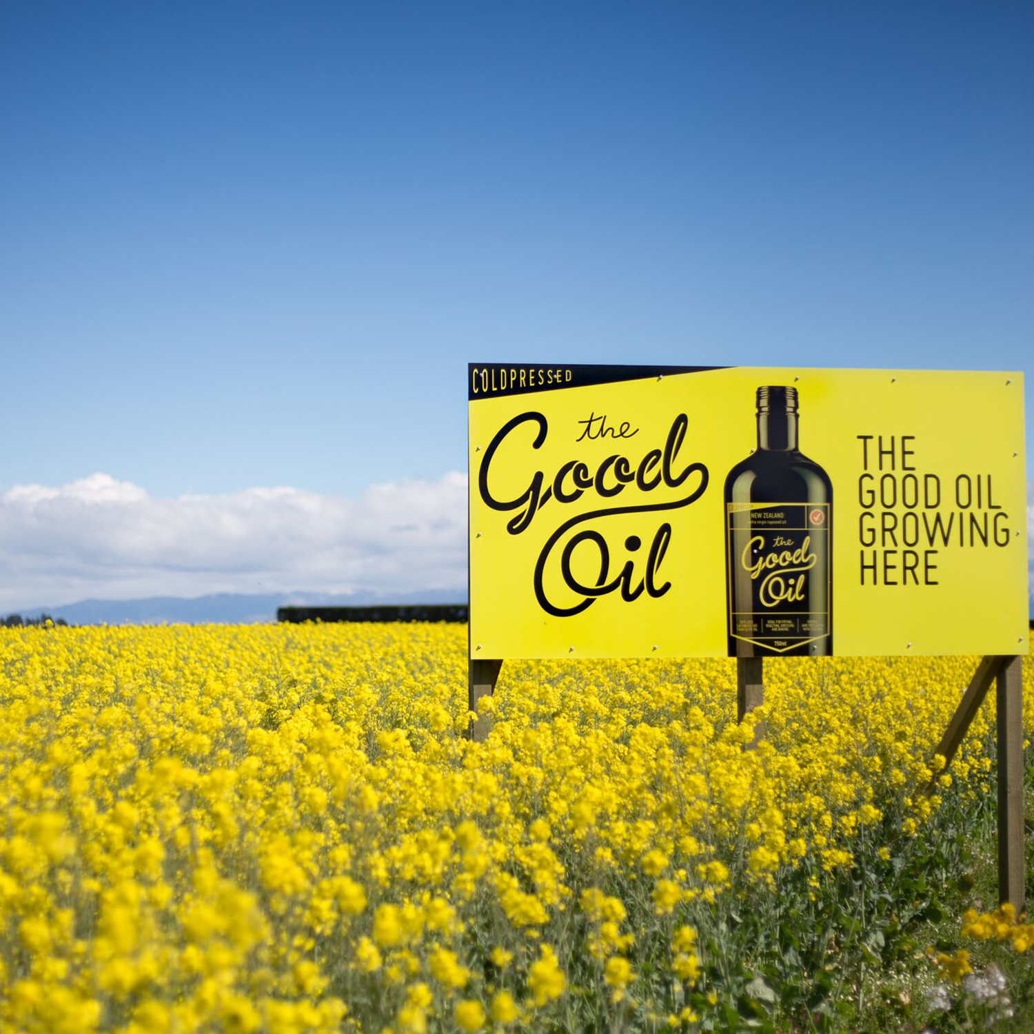 rapeseed-field