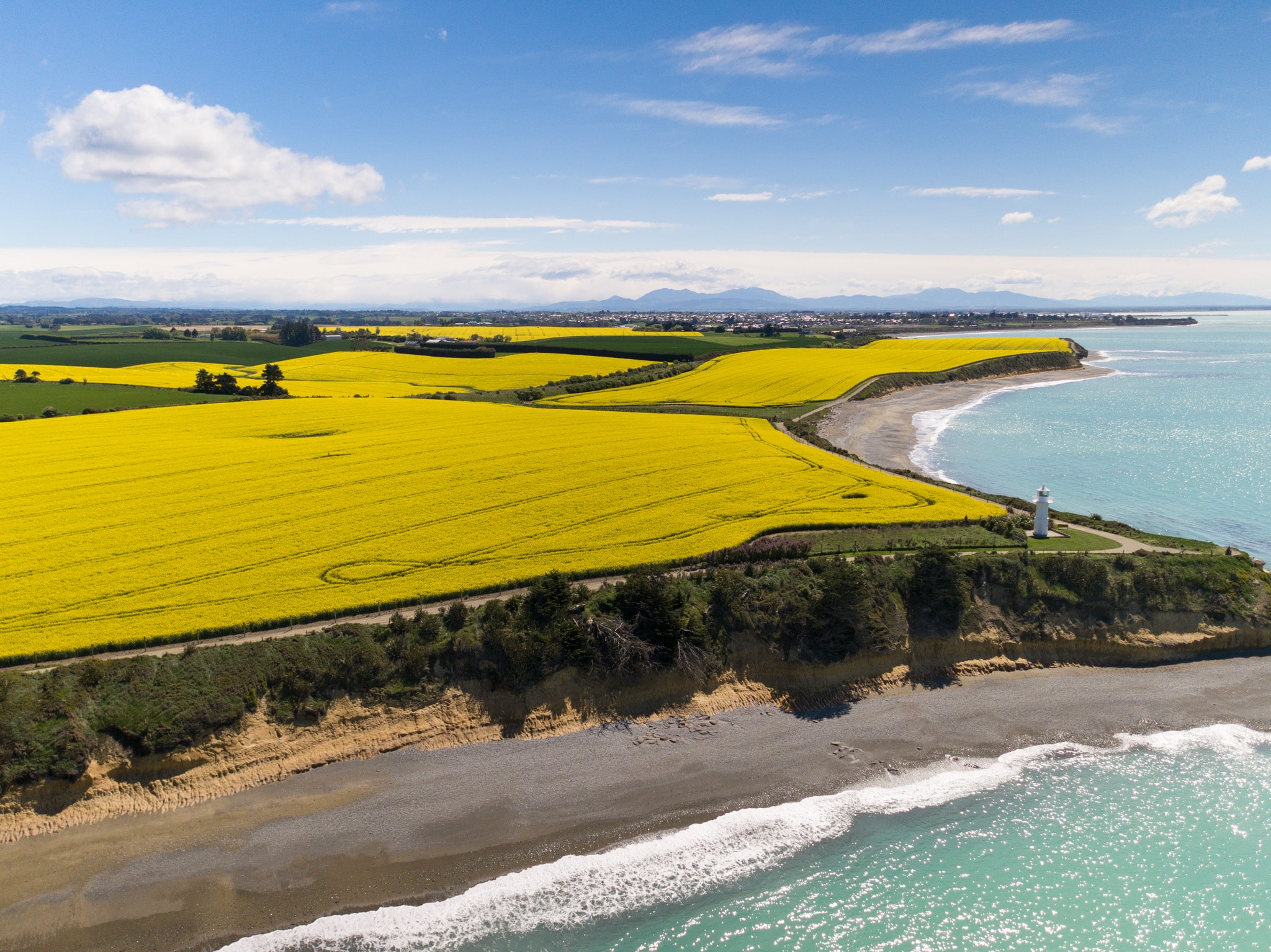 TGO-rapeseed-field